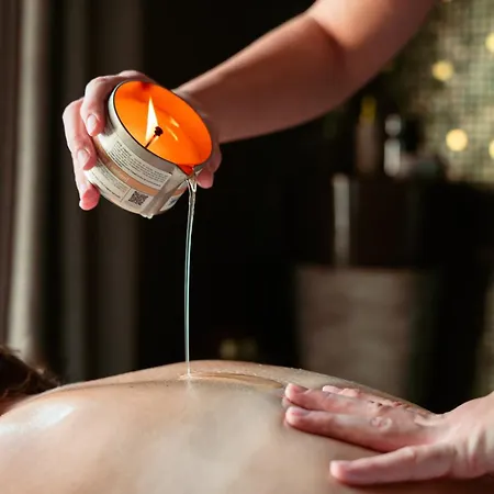 מלון Les Roches Blanches