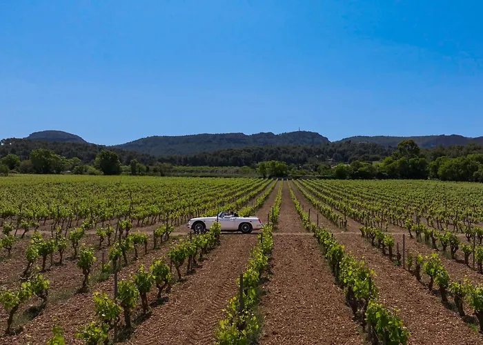 Les Roches Blanches Hotel