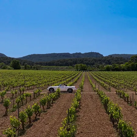 Les Roches Blanches 호텔