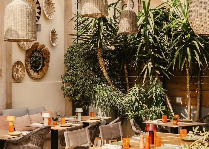 Les Roches Blanches 5* Каси