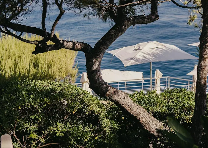 Les Roches Blanches 5*